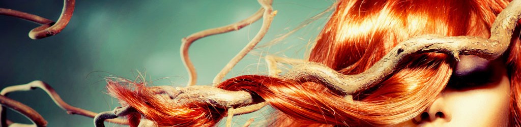 Salon Coiffure